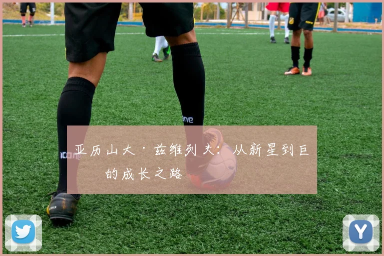 亚历山大·兹维列夫：从新星到巨星的成长之路