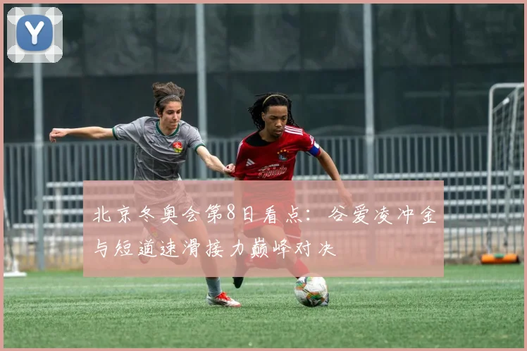 北京冬奥会第8日看点：谷爱凌冲金与短道速滑接力巅峰对决