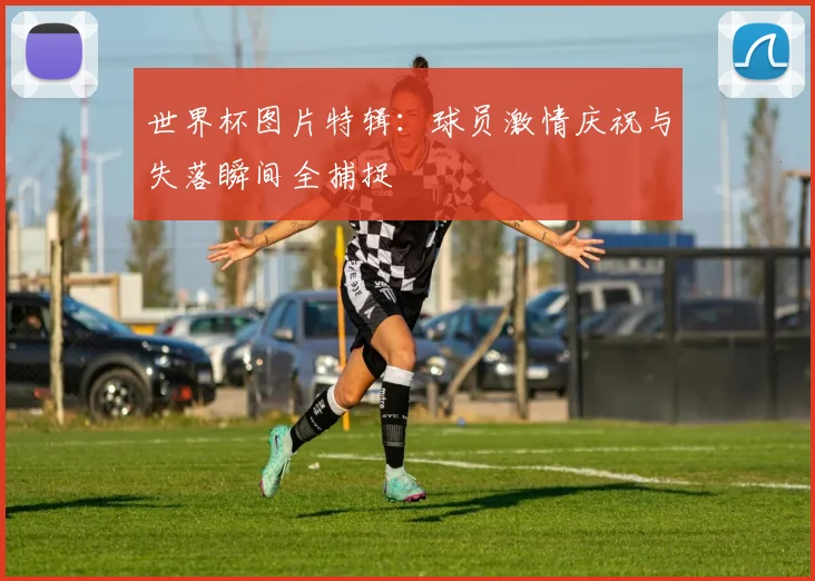 世界杯图片特辑：球员激情庆祝与失落瞬间全捕捉