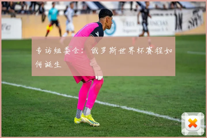 专访组委会:俄罗斯世界杯赛程如何诞生