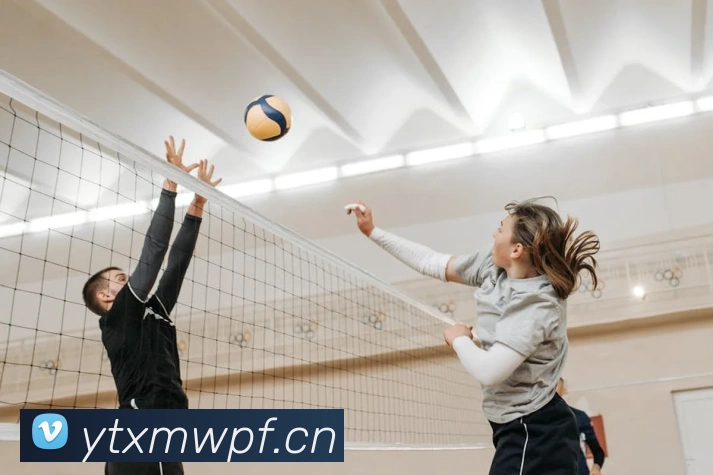 多媒体互动体验