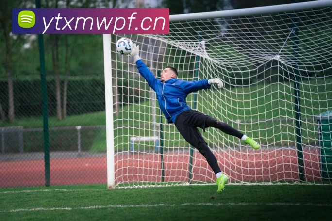 hth.com网页版APP 体育赛事宣传图